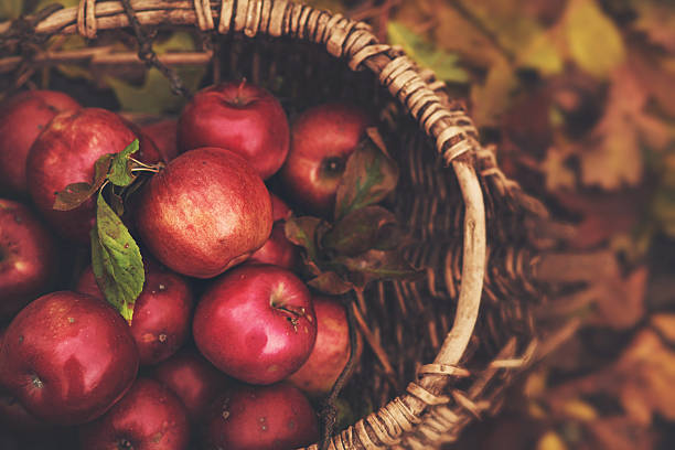 8 مورد از فواید سیب برای سلامتی